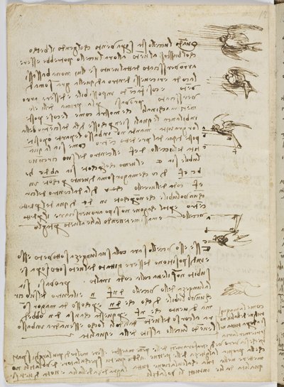 Código sobre el vuelo de los pájaros, c. 1505-06, manuscrito en papel, cc. 18, hoja 8 verso de Leonardo da Vinci